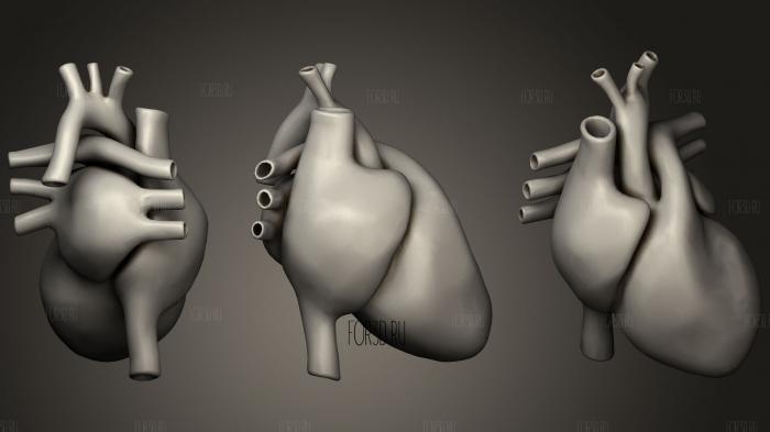 Heart normal voxel 3d stl модель для ЧПУ